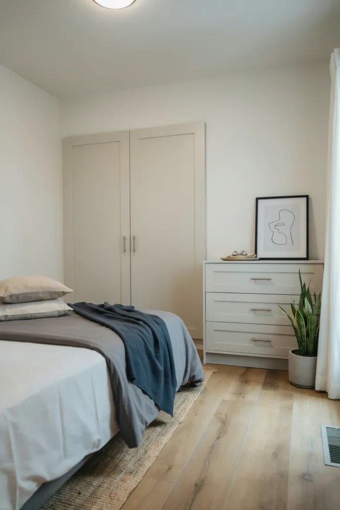 Plain Closet Doors
