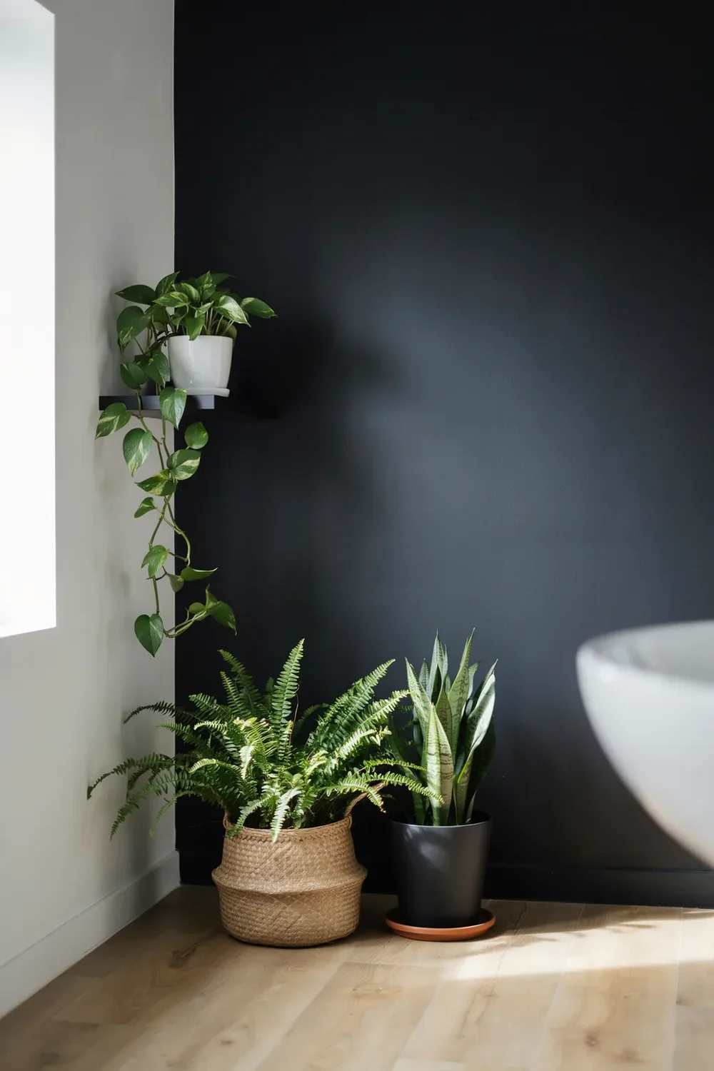 Bring In Greenery Against the Black
