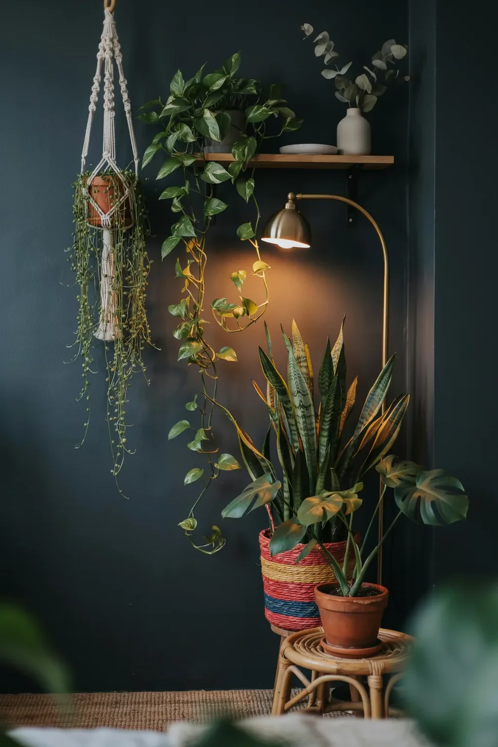 Bring In Moody Botanicals That Like Low Light