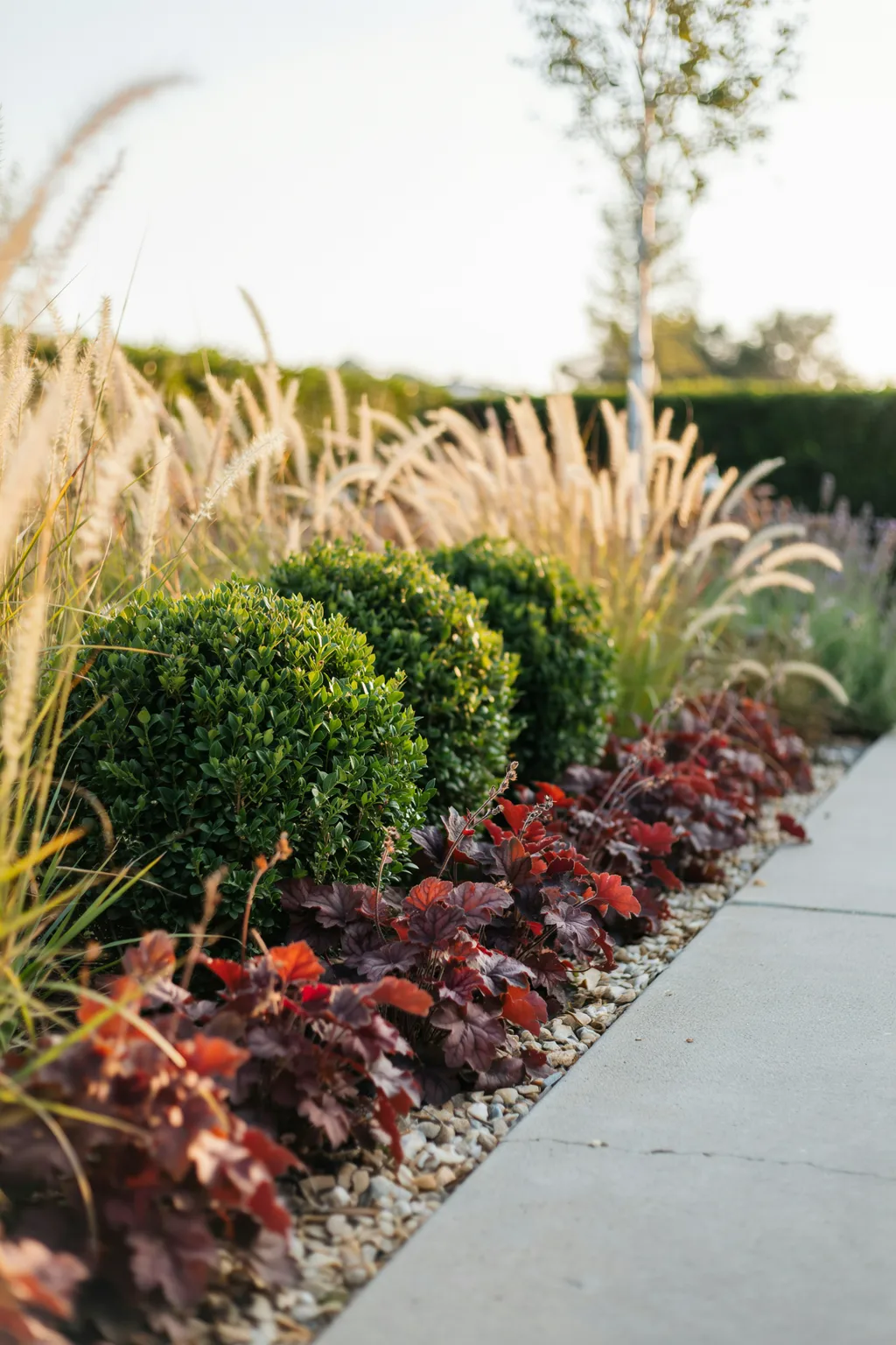 Combine Clipped Structure With Loose Grasses for the Modern Look
