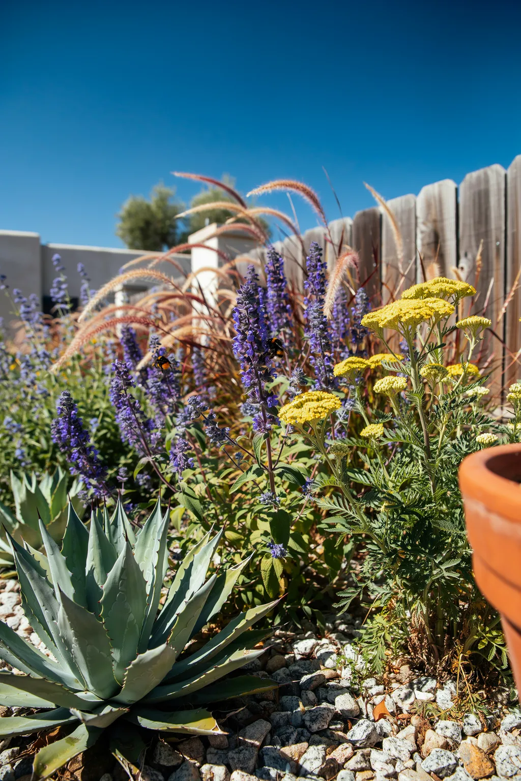 Choose Plants Native to Your Zone Instead of Fighting Your Climate